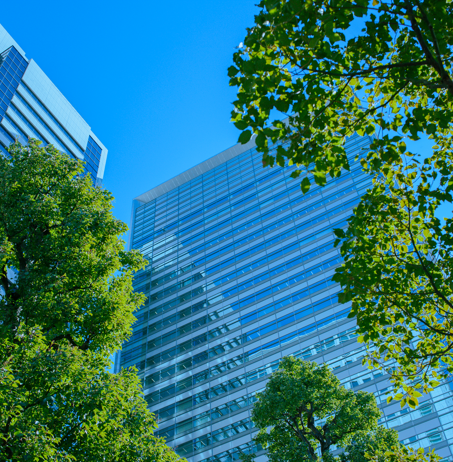 Our Sustainability Journey